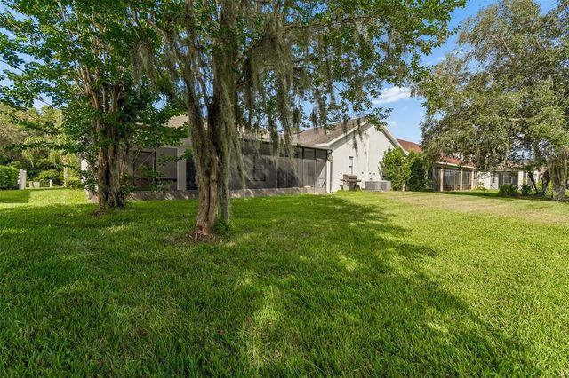 19236 CLIMBING ASTER DRIVE, Tampa, FL 33647