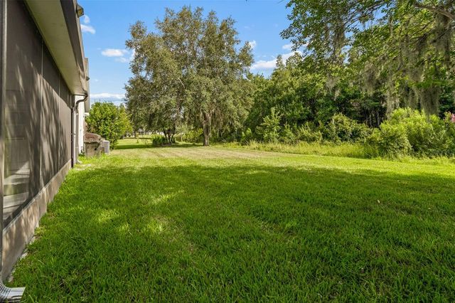 19236 CLIMBING ASTER DRIVE, Tampa, FL 33647