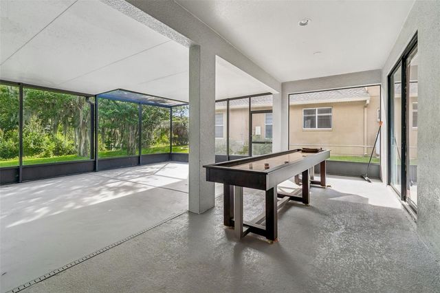 19236 CLIMBING ASTER DRIVE, Tampa, FL 33647