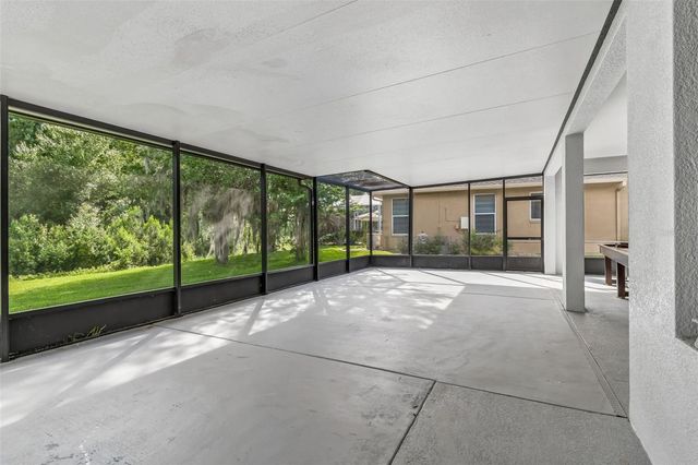 19236 CLIMBING ASTER DRIVE, Tampa, FL 33647
