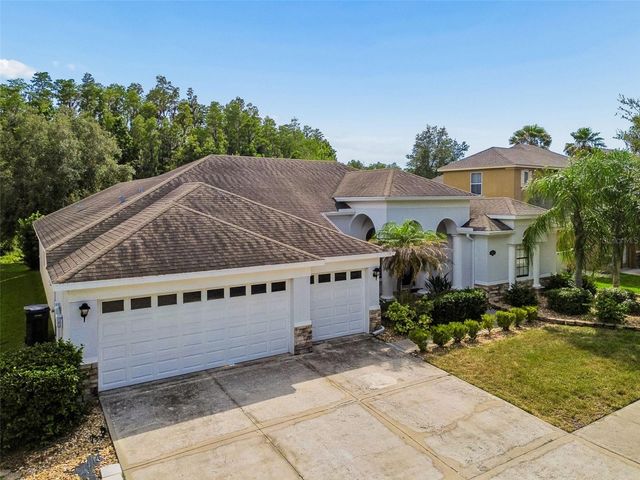 19236 CLIMBING ASTER DRIVE, Tampa, FL 33647