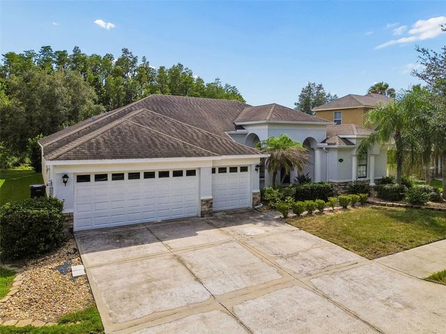 19236 CLIMBING ASTER DRIVE, Tampa, FL 33647