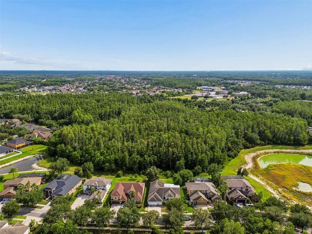 19236 CLIMBING ASTER DRIVE, Tampa, FL 33647