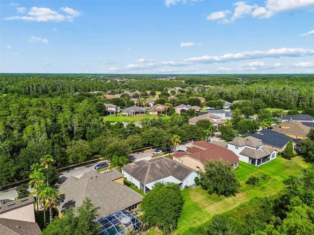 19236 CLIMBING ASTER DRIVE, Tampa, FL 33647
