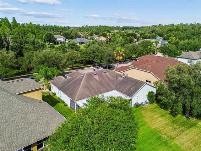 19236 CLIMBING ASTER DRIVE, Tampa, FL 33647