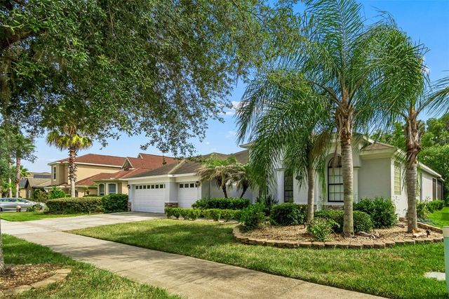 19236 CLIMBING ASTER DRIVE, Tampa, FL 33647