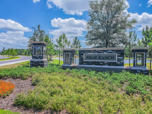 19236 CLIMBING ASTER DRIVE, Tampa, FL 33647