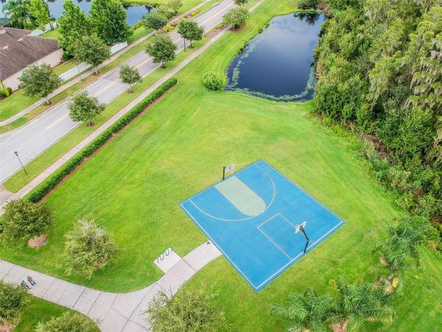 19236 CLIMBING ASTER DRIVE, Tampa, FL 33647