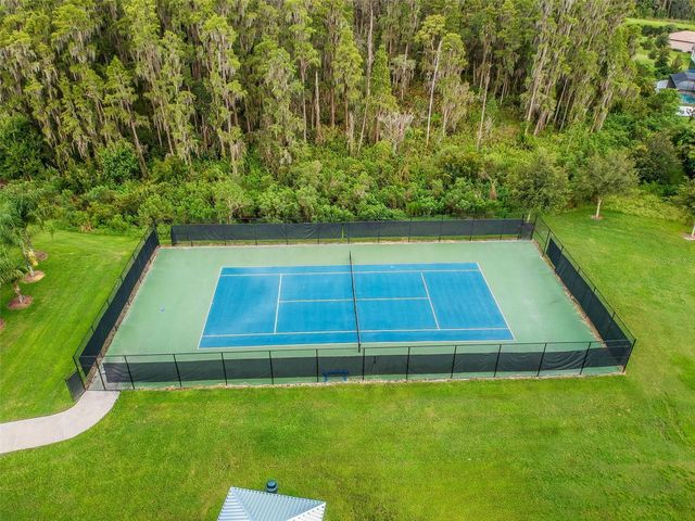 19236 CLIMBING ASTER DRIVE, Tampa, FL 33647