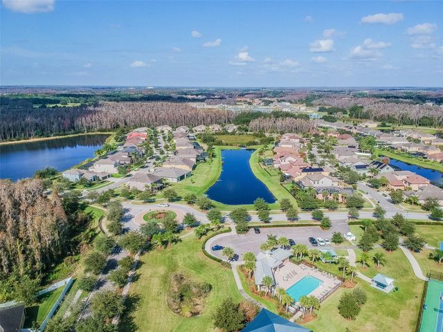 19236 CLIMBING ASTER DRIVE, Tampa, FL 33647