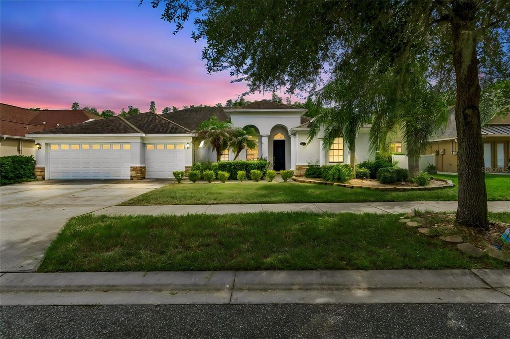 19236 CLIMBING ASTER DRIVE, Tampa, FL 33647