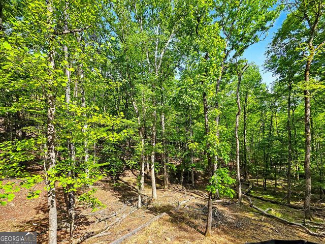 145 Jack Rabbit Drive, Waleska, GA 30183