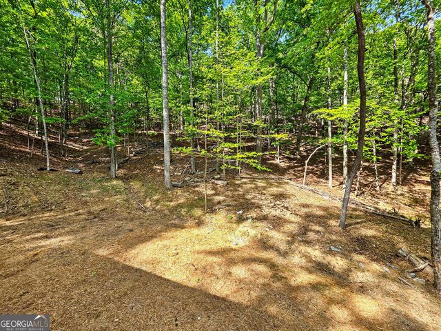145 Jack Rabbit Drive, Waleska, GA 30183