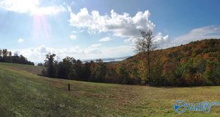 Lot 50 County Road 767, Cedar Bluff, AL 35959