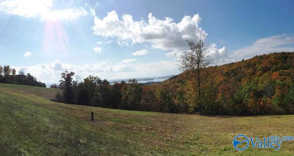Lot 50 County Road 767, Cedar Bluff, AL 35959