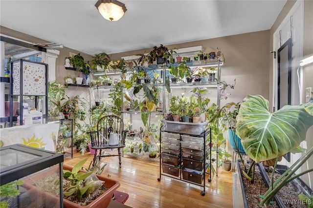 43 Starlite Avenue, Cheektowaga, NY 14227