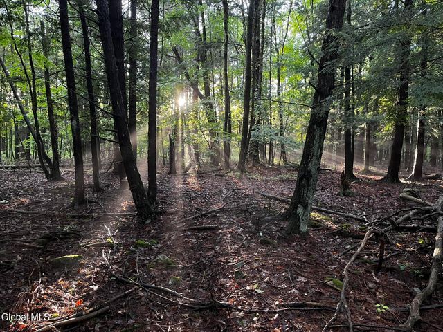 723 Swaggertown Road, Charlton, NY 12302