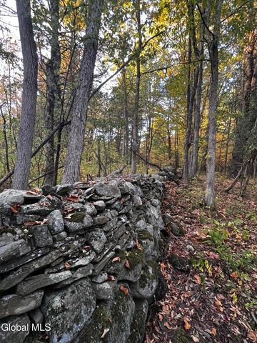 723 Swaggertown Road, Charlton, NY 12302
