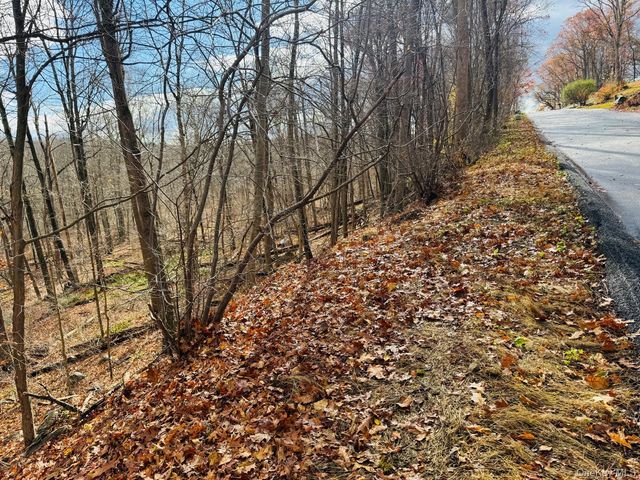 LOT 11 Shamrock Drive, Mahopac, NY 10579