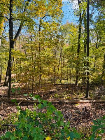 LOT 11 Shamrock Drive, Mahopac, NY 10579