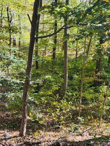 LOT 11 Shamrock Drive, Mahopac, NY 10579