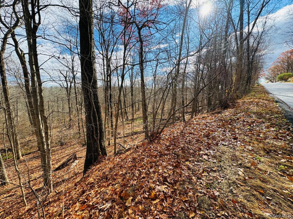 LOT 11 Shamrock Drive, Mahopac, NY 10579
