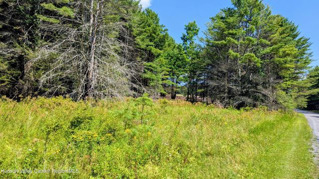 82 Conifer Lake Road W, Jewett, NY 12444