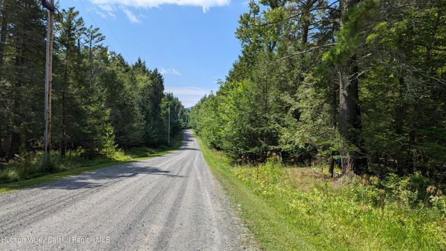 82 Conifer Lake Road W, Jewett, NY 12444