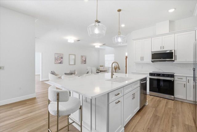 3902 MEADOWLARK COURT, Land O Lakes, FL 34639