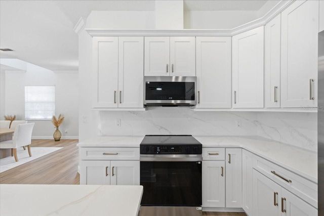 3902 MEADOWLARK COURT, Land O Lakes, FL 34639