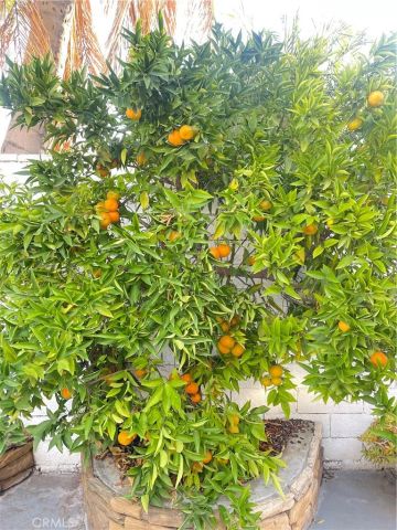 13849 San Antonio Avenue, Chino, CA 91710