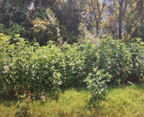 120 Alabama, Liberty, TX 77575