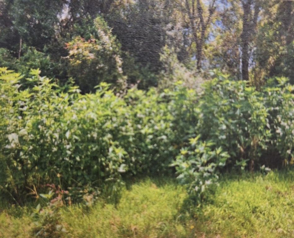 120 Alabama, Liberty, TX 77575