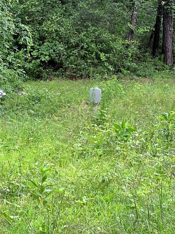 967 Big Foot Wallace Trail, Livingston, TX 77351