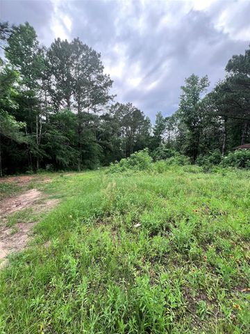 967 Big Foot Wallace Trail, Livingston, TX 77351