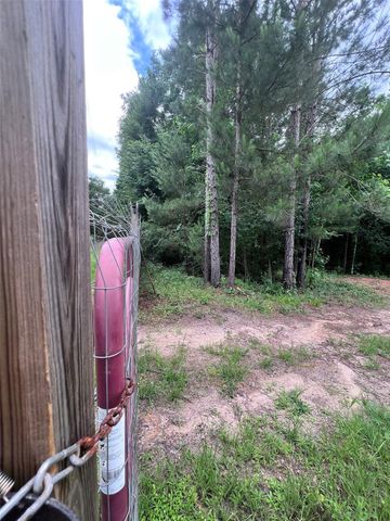 967 Big Foot Wallace Trail, Livingston, TX 77351