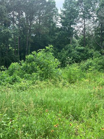 967 Big Foot Wallace Trail, Livingston, TX 77351