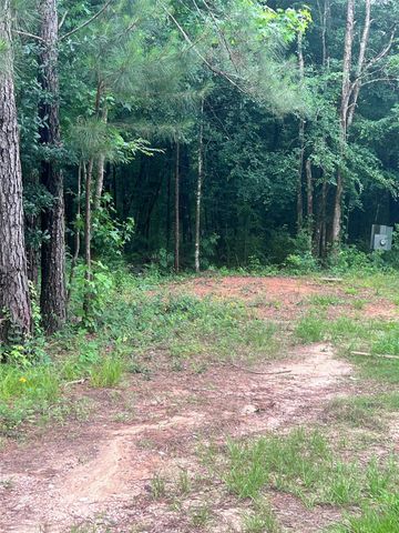 967 Big Foot Wallace Trail, Livingston, TX 77351