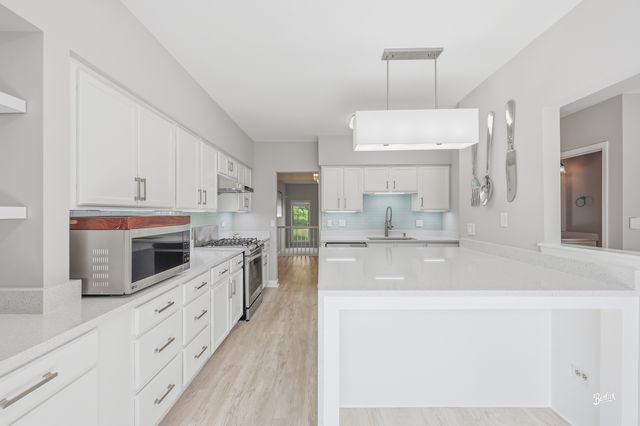 537 W Parkside Drive, Palatine, IL 60067