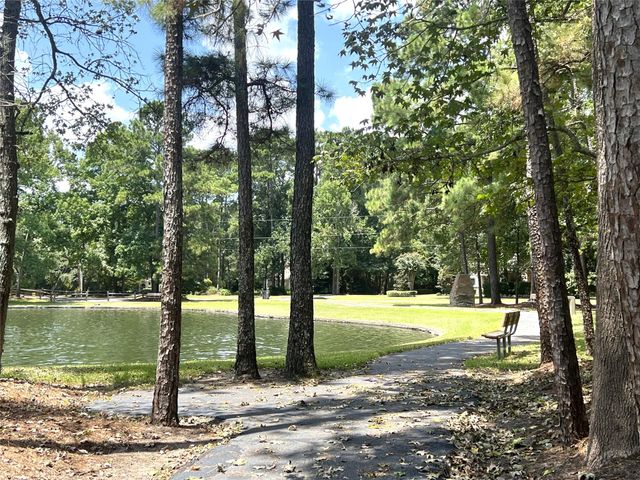 8685 Sunset Heights Lane, Conroe, TX 77302
