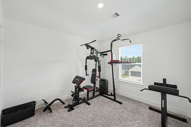 326 Springfield Terrace Drive, Conroe, TX 77304