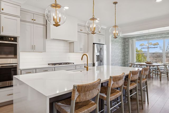 3311 Sassafras Ln, Thompsons Station, TN 37179