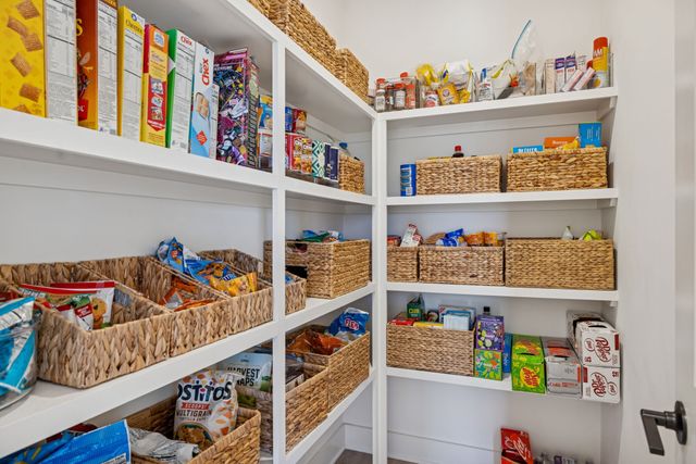 3311 Sassafras Ln, Thompsons Station, TN 37179