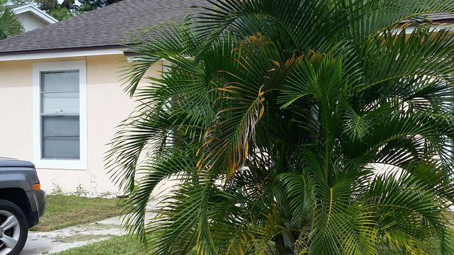 460 Fleming Avenue, Greenacres, FL 33463