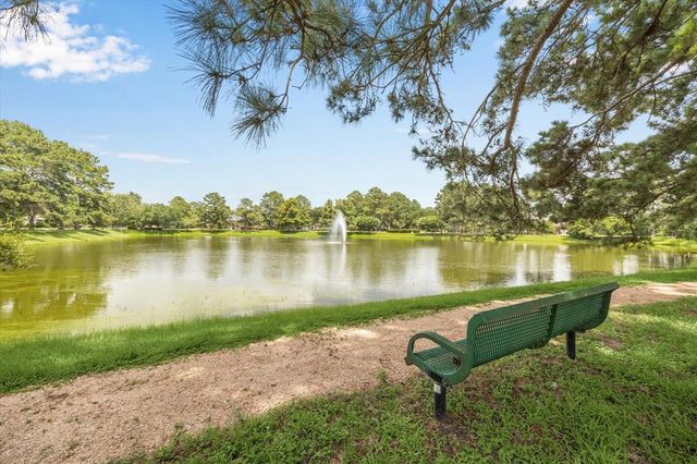 16919 Storybrook Forest Drive, Tomball, TX 77377