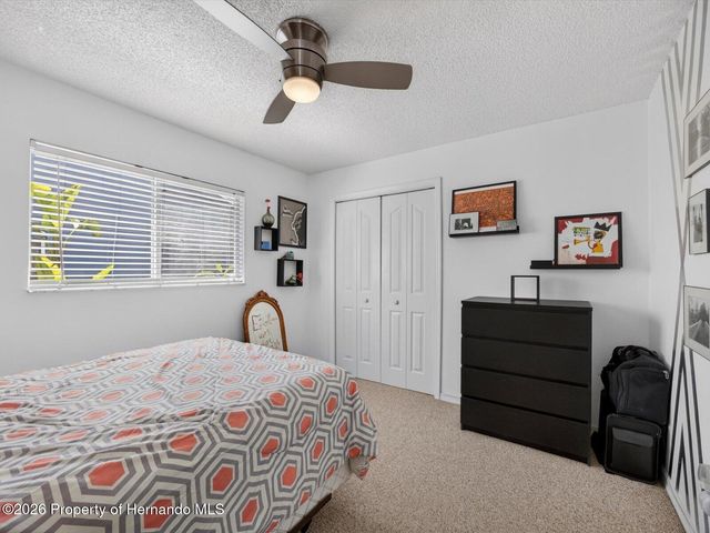 1198 Muscovy Drive, Spring Hill, FL 34608