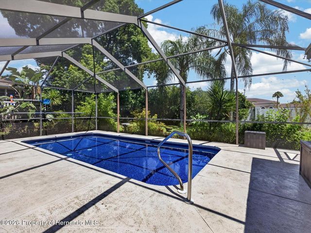 1198 Muscovy Drive, Spring Hill, FL 34608