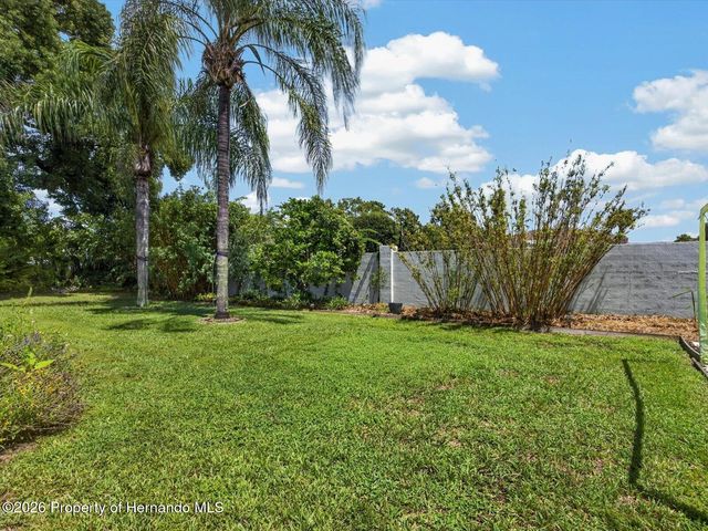 1198 Muscovy Drive, Spring Hill, FL 34608