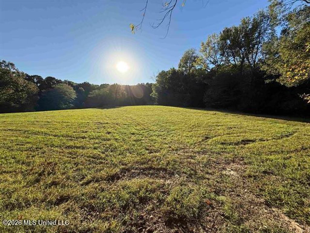 9171 Collierville Arlington Road, Arlington, TN 38002 — photo 3