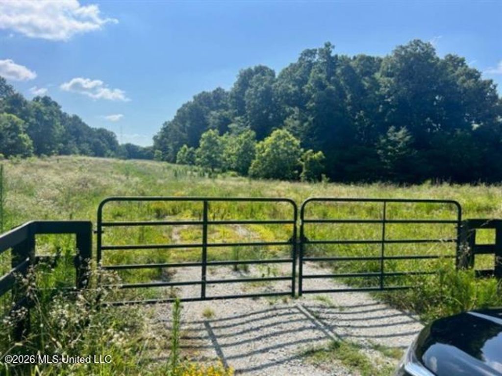 9171 Collierville Arlington Road, Arlington, TN 38002 — photo 4